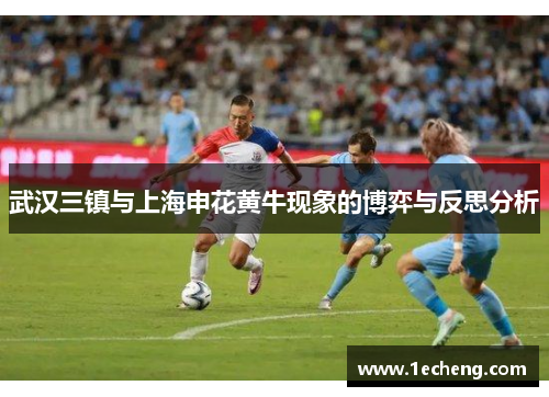 武汉三镇与上海申花黄牛现象的博弈与反思分析