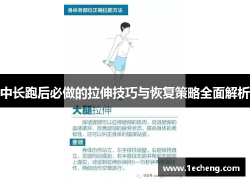 中长跑后必做的拉伸技巧与恢复策略全面解析