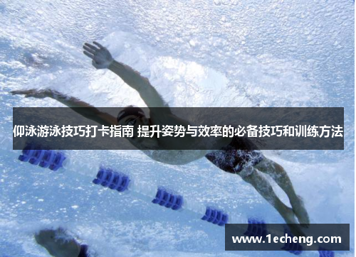 仰泳游泳技巧打卡指南 提升姿势与效率的必备技巧和训练方法