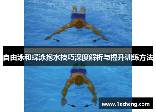 自由泳和蝶泳抱水技巧深度解析与提升训练方法